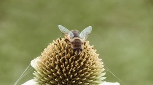Алла Ковальчук содержит сына.  Мама скоро даст жару Алле #аллаковальчук #ковальчукалла