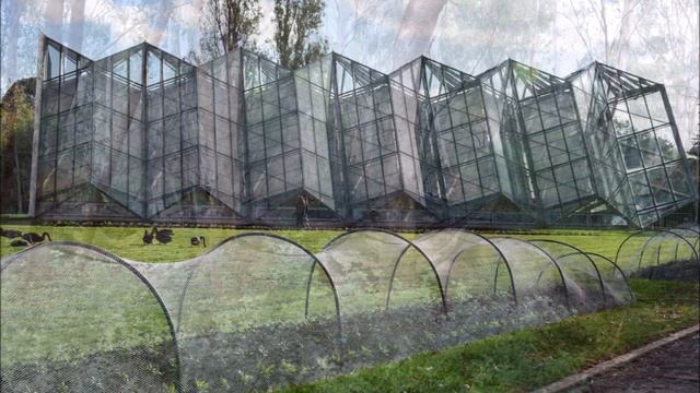 Natural Absorption - A Random Co Lab By Lynden Nicholls & Ros Pach