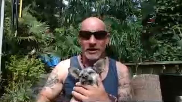 Palm & Exotic Plant talk from the North Pacific part 2 смотреть онлайн