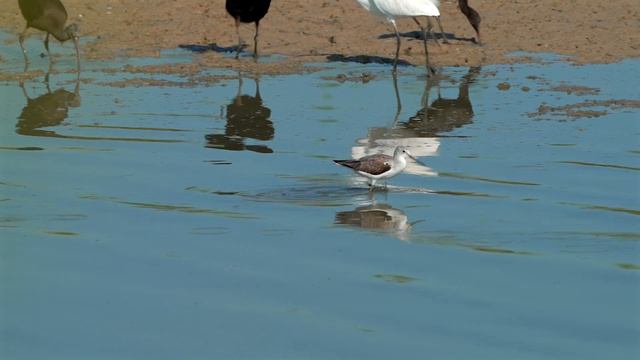 БОЛЬШОЙ УЛИТ смотреть онлайн