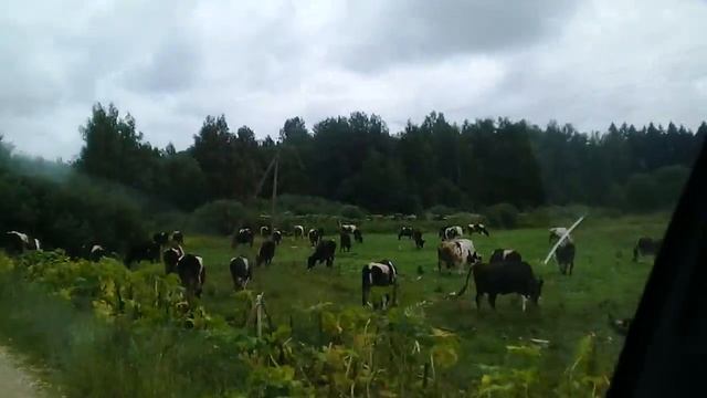 Москва перваямайиски смотреть онлайн