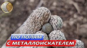 2110 - По полям с металлодетектором - пуговка гирька и монеты
