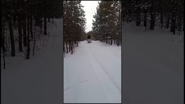 Буран короткий двигатель Lifan 20