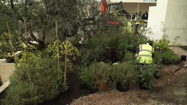 The building of The M&G Garden 2017 смотреть онлайн