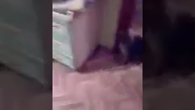 Вот так женится кошки! смотреть онлайн