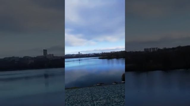 20 ноября 2024 год