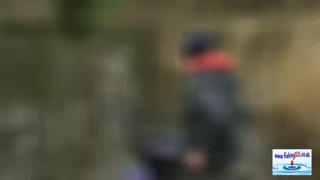 Winter Waggler Fishing Tips For Silverfish- Float Fishing For Roach!