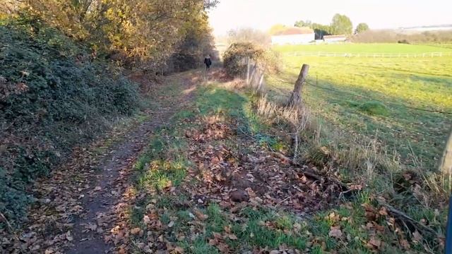 Yaesu VX-6 Lambourne Dvor 2