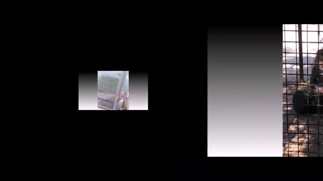 Крым 2021. Тайган. смотреть онлайн