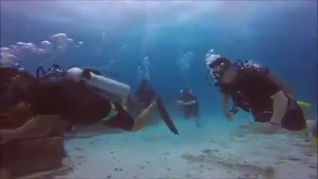 8 Wonder Of The World Mexico Cancun Diving