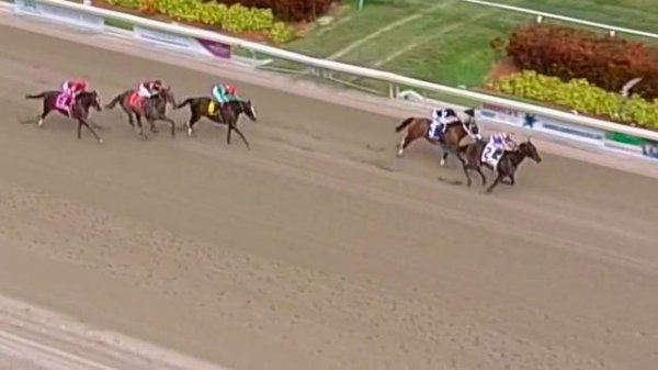 2015 Mr. Prospector Stakes Attracts Tough Sprinters