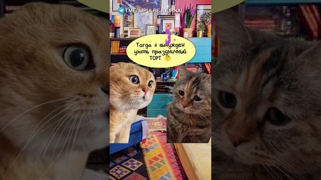 Не жирей смотреть онлайн