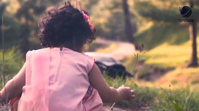 Top 10 Best Honeymoon Places In India 2020 смотреть онлайн