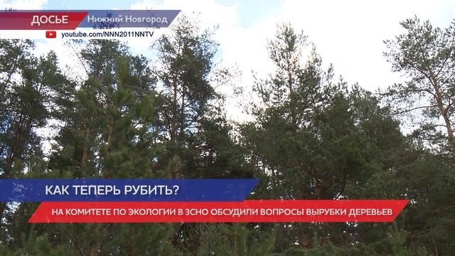 На комитете по экологии в ЗСНО обсудили вопросы вырубки деревьев смотреть онлайн