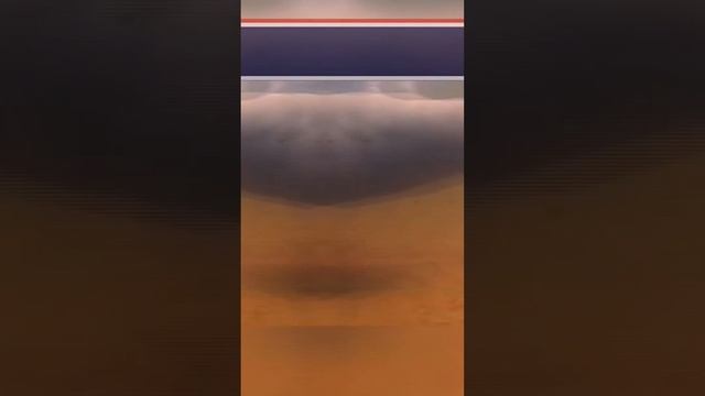 Необычное Создание #экология #дельфины