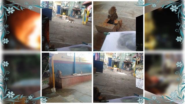 Индия Тируваннамалай гора АРУНАЧАЛА смотреть онлайн