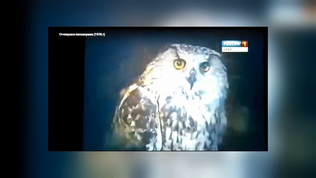 АртПерекресток-2024. Уральский композитор Арсений Николаевич Попович смотреть онлайн