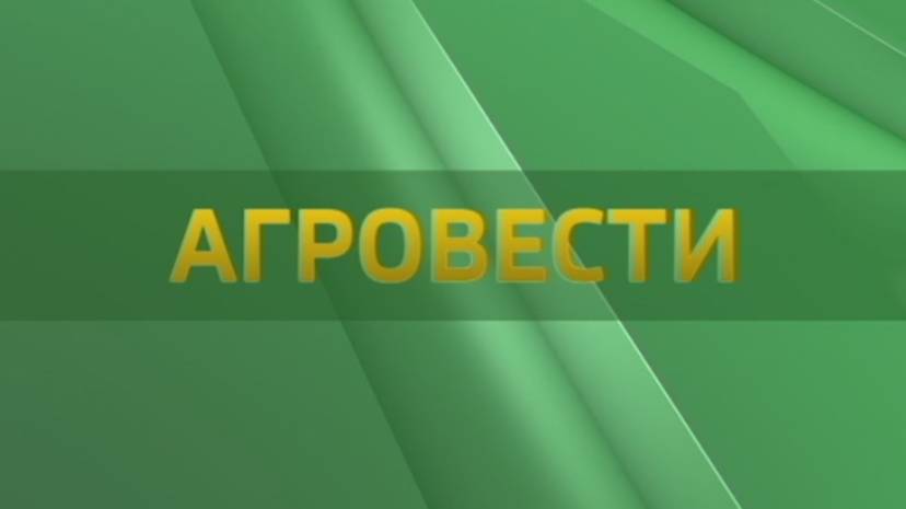 Агровести 6.12.2024 смотреть онлайн