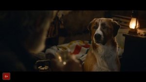 Фильм: "Зов предков" (Call of the Wild) 2020 RUS /Зарубежные фильмы/