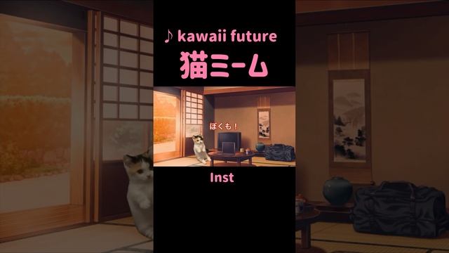 kawaii future ﾁﾋﾟﾁﾋﾟﾁｬﾊﾟﾁｬﾊﾟ(LIVE映像) #猫ミーム #個人勢vtuber смотреть онлайн