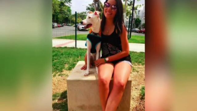 Доброе сердце не позволило девушке пройти мимо больной собаки. смотреть онлайн