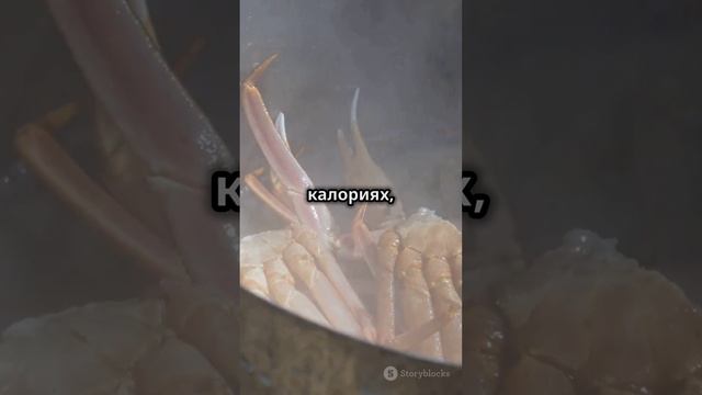 🏝️ Мальдивы – Ваш личный рай на Земле! 🏝️