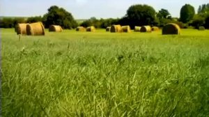 Форд против Феррари !!!