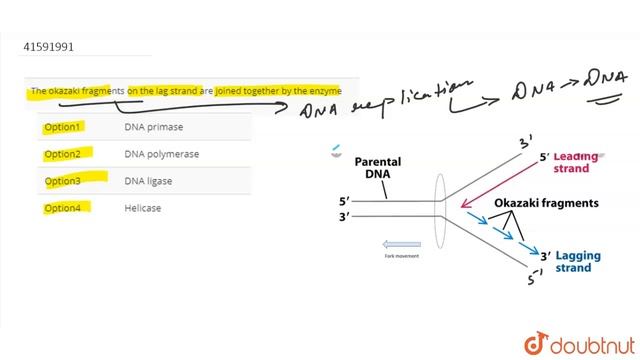 The okazaki fragments on the lag strand are joined together by the enzyme смотреть онлайн