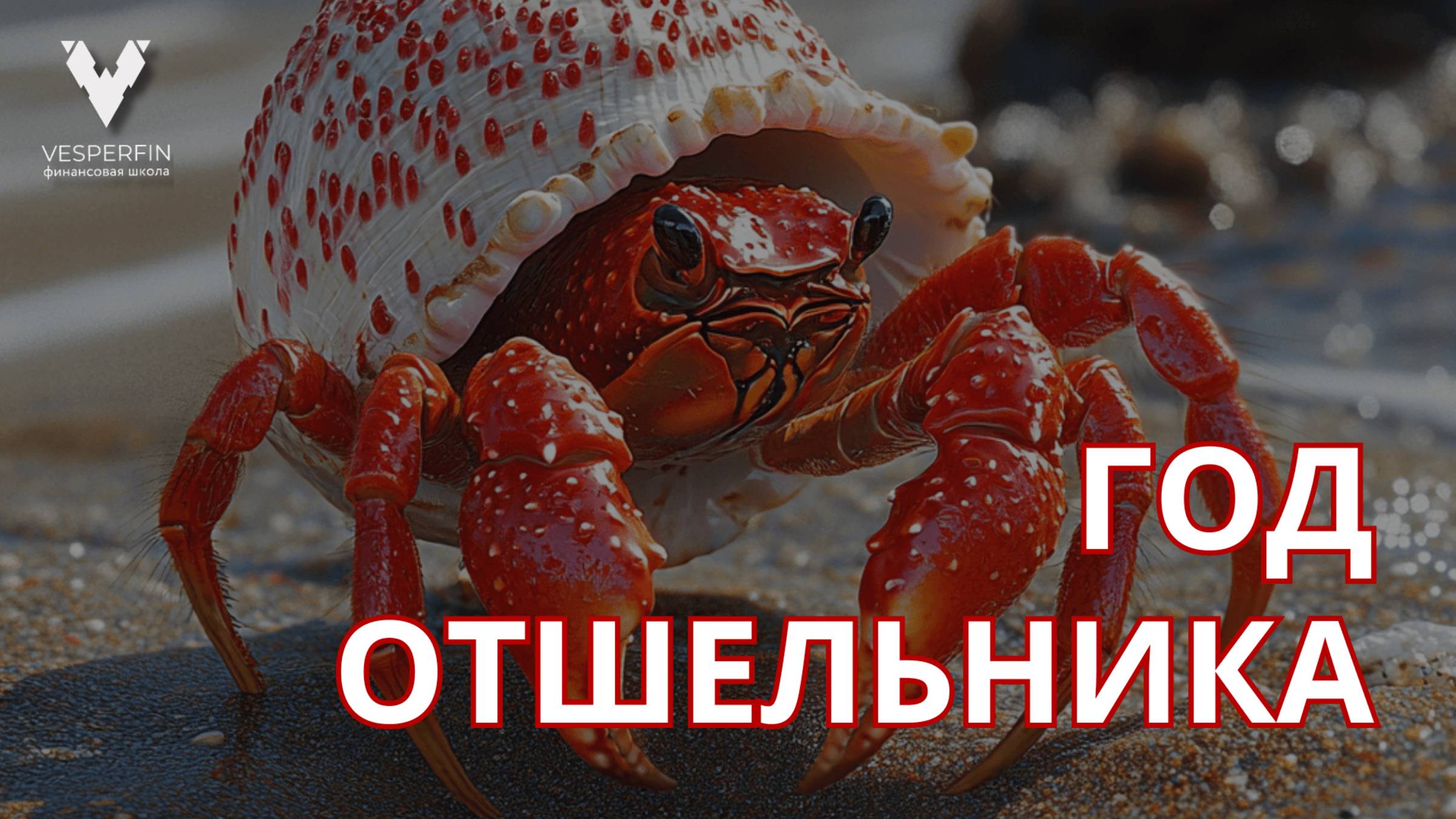 Год отшельника: уроки самопознания и роста | Арина Веспер смотреть онлайн