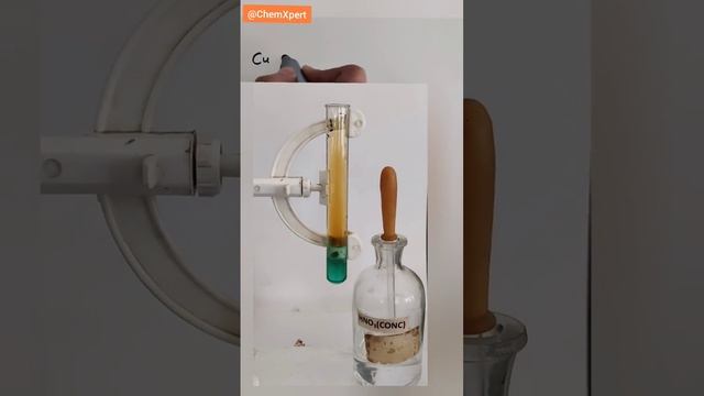 What happens when Copper Reacts with Nitric Acid| Class 10 Science | Metals and Non Metals смотреть онлайн