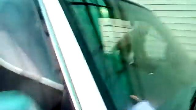 VID 20170817 1912351 смотреть онлайн