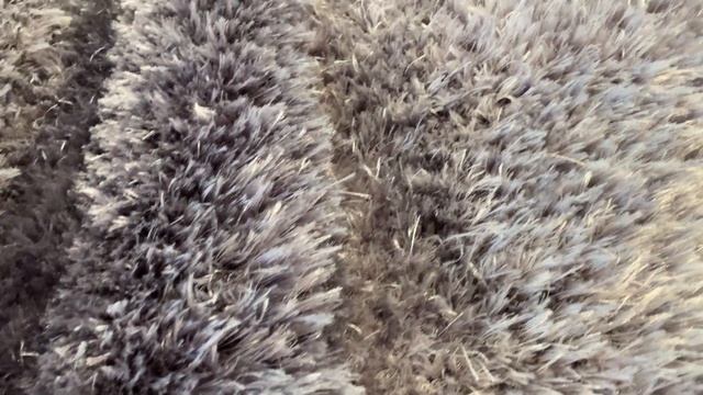 Тафтинговый ковер Tender Relief Grey смотреть онлайн