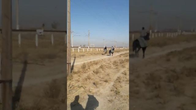 Лексус 110(1) смотреть онлайн