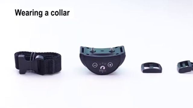 PD258 No Bark Dog Collar