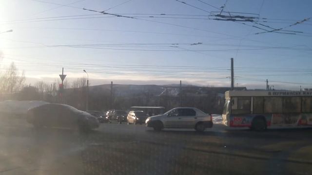 Собака учит людей переходить дорогу смотреть онлайн