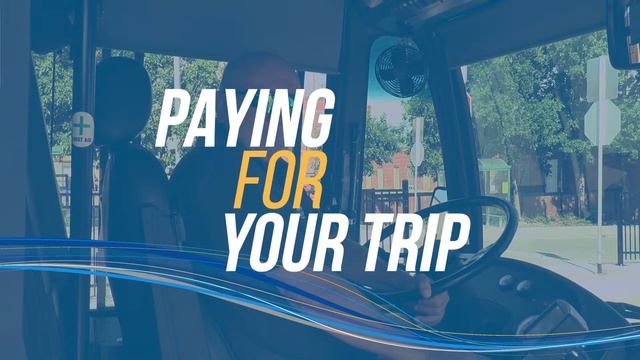 Brandon Transit - How to Ride the Bus смотреть онлайн