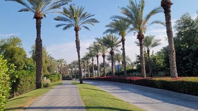 Отель "Dubai Creek Club Villas", дорога от въезда - внутрь. ОАЭ - полная противоположность Индии. смотреть онлайн