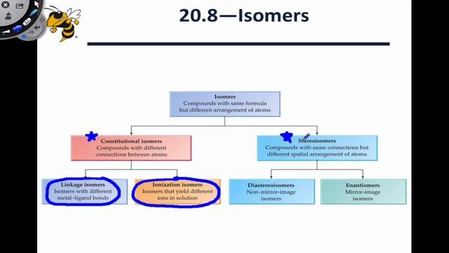 20.4 Introduction to Isomerism and Constitutional Isomers смотреть онлайн