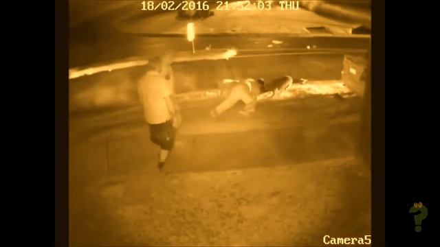 Dog rescued from pit bulls(Спас пса) смотреть онлайн