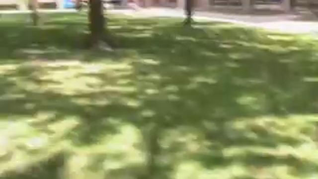 Manhunt Playground Game