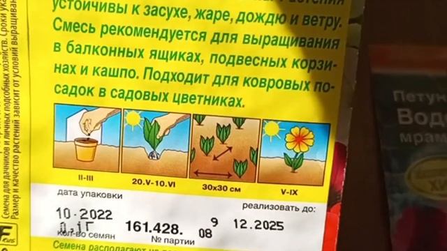 Три сорта петунии которые можно смело порекомендовать в 2024 году. Подсказка.