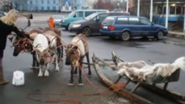 Любимый Мурманск... смотреть онлайн