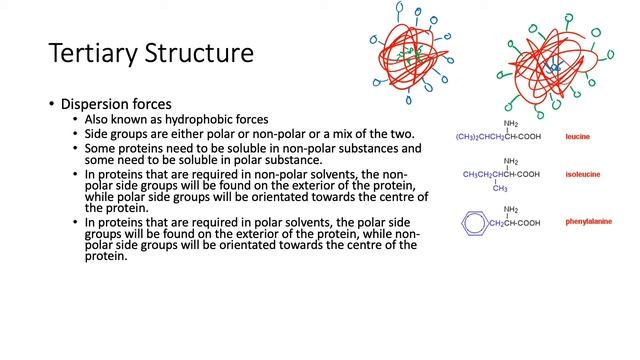 PPS13 - Protein Tertiary Structure 2 смотреть онлайн
