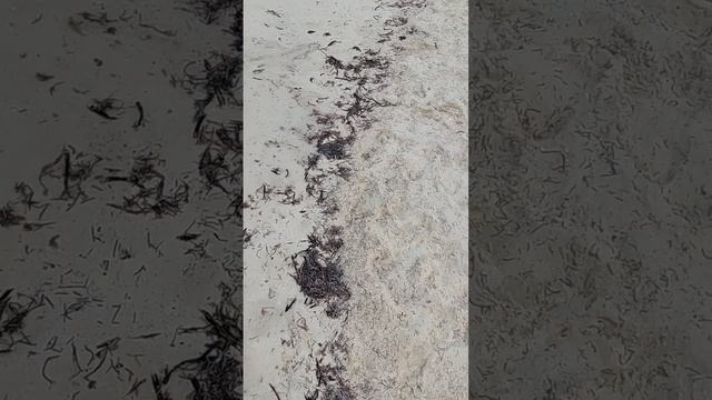 Пляж и белый песок Кайо Коко. Куба за 57 тысяч рублей с перелетом на 10 ночей 5* @tutsi-dieti смотреть онлайн