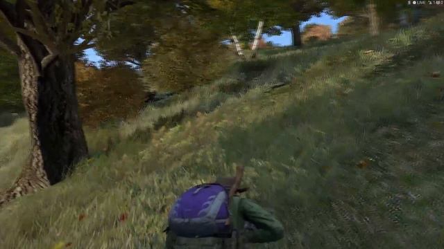 Johnny B. Goode & xxXzahnfeeXxx // Manhunt without happy end // DayZ Standalone смотреть онлайн