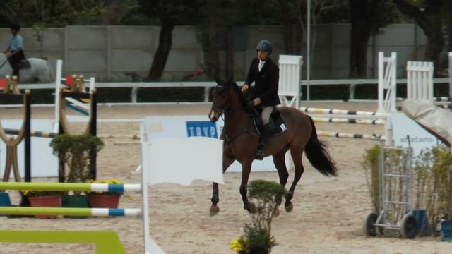 Ismar A Ribeiro Neto Urucum 3K Campeonato Paulista Cavalos Novos 2014 смотреть онлайн