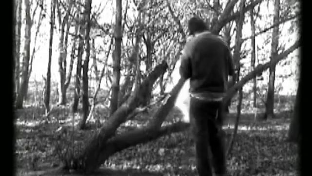 The Lost Army Of M.O.C. Aberdeen Street Art (2007)