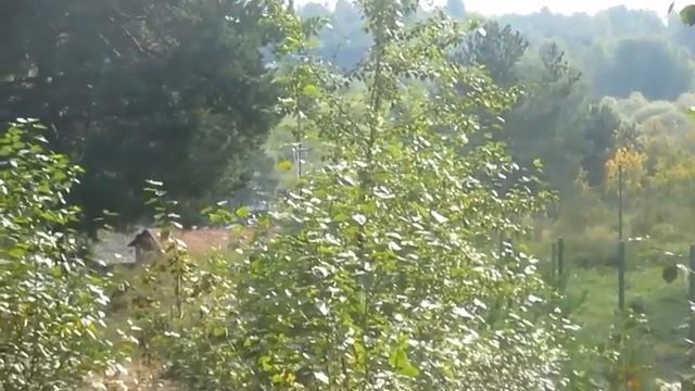 Верю и не верю у реки два берега - Автор Елена Есаулова музыка Елена Кузнецова поёт Олег Корчагин смотреть онлайн