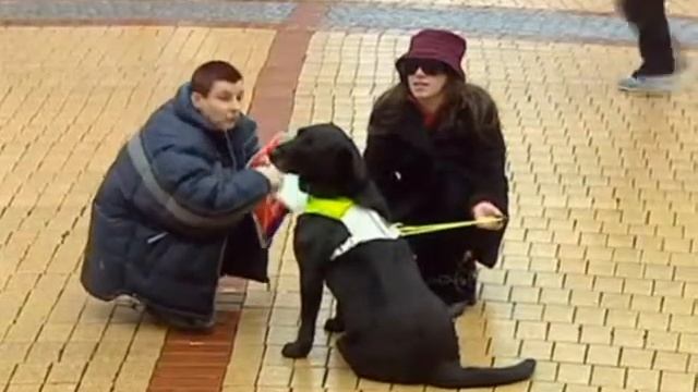 Как собаке дорогу объясняют! Умора = ))))))))