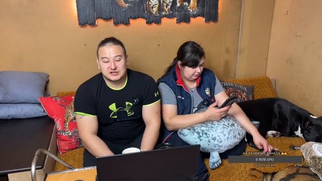 Коты спрятались - пришел снег !) смотреть онлайн
